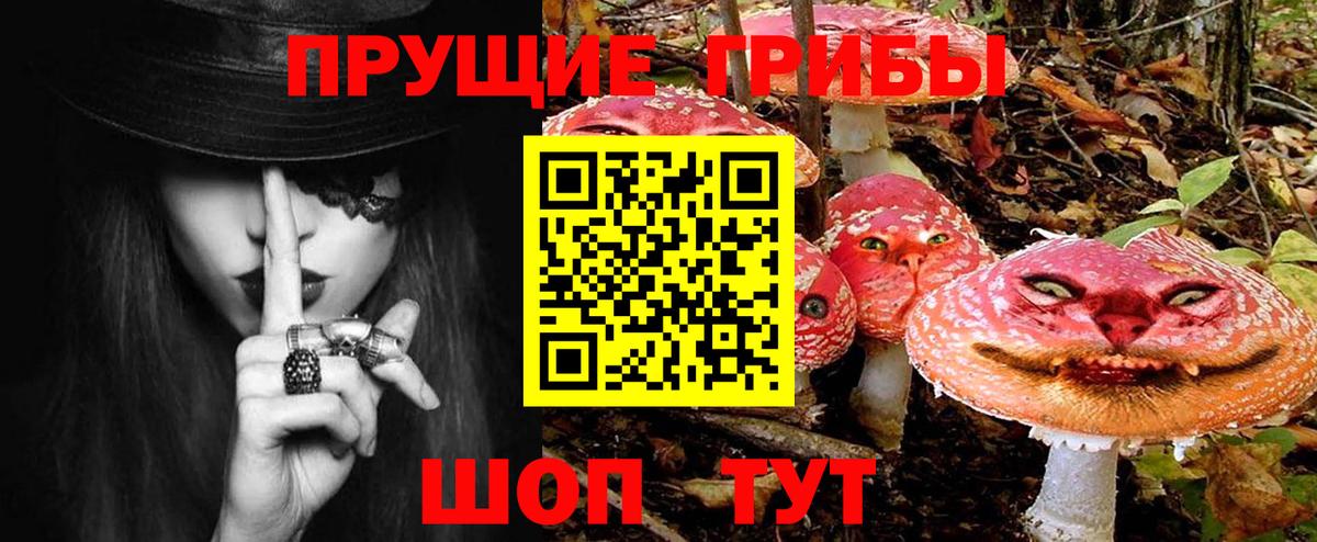 Галлюциногенные грибы мицелий Малоярославец